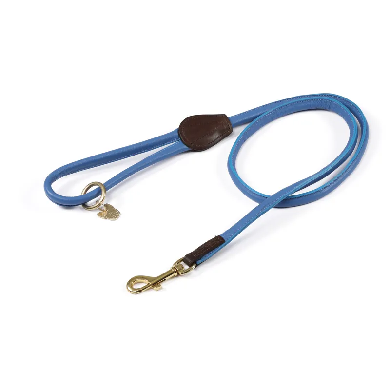 Digby and Fox Rolled Leather Dog Lead in Royal Blue